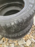 Aderenza. ������, ��� �����, 2019 ���, ����� ����