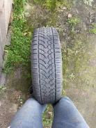 Rosava WQ-103. ������, ��� �����, �/�, ����� 5�% ����