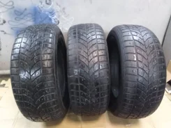 Bridgestone Winter Radial WT-17. ������, ����������, �/�, ����� 60�% ����