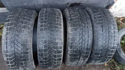 Bridgestone Winter Radial WT-17. ������, ����������, �/�, ����� 50�% ����