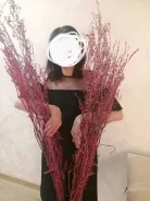 ������. ����