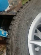 Dunlop Winter Maxx. ������, ����������, �/�, ����� �� 5�%. ��� ���� ����
