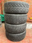 Tigar Winter. ������, ��� �����, 2019 ���, �/�, ����� 5�% ����