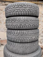 Nordman 5. ������, ��� ����, 2019 ���, �/�, ����� 30 % ����