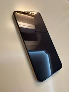 Apple iPhone Xs Max. �/�, �������, 4G LTE ����