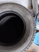 Bridgestone Blizzak Revo 969. ������, ��� �����, �/�, ����� 50 % ����