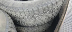 Continental Contact. ������, ����������, �/�, ����� 20�% ����