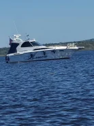 Searay. 2000 ���, ����� 11��., ��������� ���������, 500��.�., ������ ����