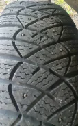Avatyre Freeze. ������, ����������, �/�, ����� 10 % ����