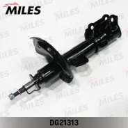 ����������� �� ��� FR Miles DG2131301, ������ �������� DG2131301 ����