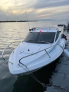 ���� 18. 2021 ���, ����� 5,5��., ��������� ���������, 70��.�., ������ ����