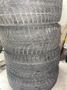 Debica. ������, ��� �����, 2014 ���, �/�, ����� 30 %. �������� ������� ����