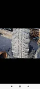 Forward Safari 500. ����� mt, �/�, ����� 50�% ����