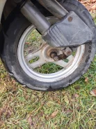 Honda Tact AF-16. 50����. ��., ��������, ��� ���, ������ �� �� ����