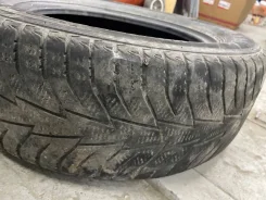Kelly Winter Ice. ������, ��� �����, 2017 ���, �/�, ����� 10 % ����