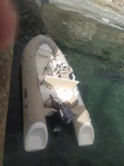 �������. 2014 ���, ����� 4,6��., ��������� ���������, 15��.�., ������ ����