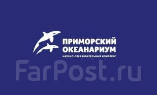 Обработчик рыбы Камчатка, работа в ИП Ионина во Владивостоке — вакансии