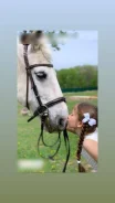 ������ ������. ����