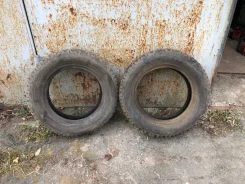 Bridgestone Winter Radial WT-02. ������, ����������, �/�, ����� �� 5 % ����