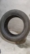 Continental Contact. ������, ����������, �/�, ����� 50�% ����