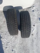 Foman Frozenero. ������, ��� �����, 2022 ���, ����� ����