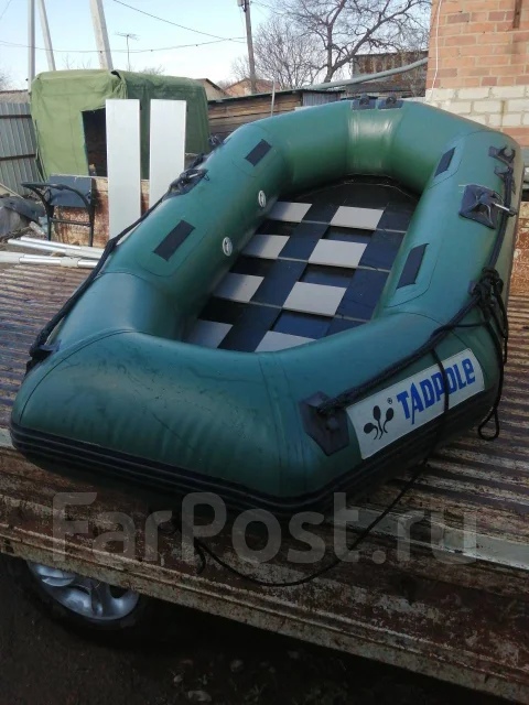 Tadpole. ����� 2,2��. ����