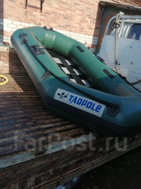 Tadpole. ����� 2,2��. ����