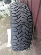 Tunga Nordway. ������, ��� �����, 2019 ���, �/�, ����� 10 % ����