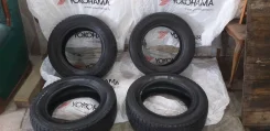 Falken Espia EP03. ������, ��� �����, �/�, ����� 40�% ����