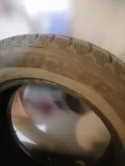 Cooper. ������, ����������, 2020 ���, �/�, ����� �� 5�% ����