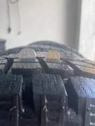 Maxxis MA-PW Presa Snow. ������, ��� �����, 2019 ���, �/�, ����� �� 5�% ����
