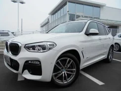 BMW X3. ��������, 4wd, 2.0 (190��.�.), ������, �/�. ��� ����� �� ������������ ����