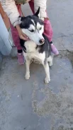 ������. ����