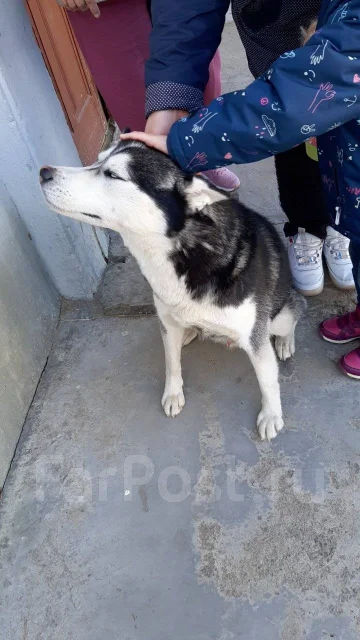 ������. ����