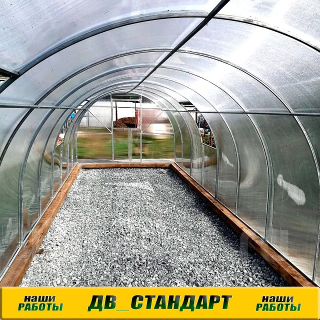 �������. ��� ����� �� ������ ����