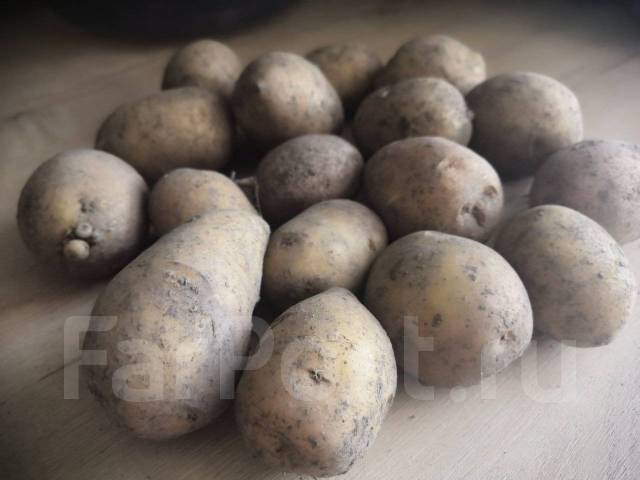 Картофель - 700 р. за сетку 40 кг - Домашние продукты в Уссурийске
