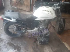 Stels Flex 250 ����