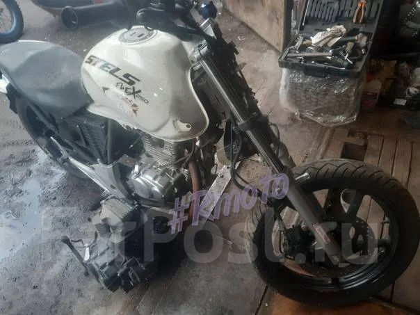 Stels Flex 250 ����