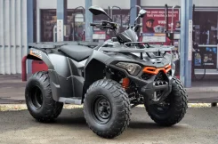 Loncin Xwolf 200 Max. ��������, ���� ���\���, ��� ������� ����