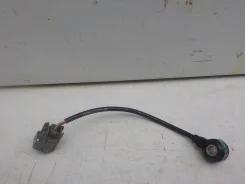 ������ Ford EcoSport 2017- 1358032 ����
