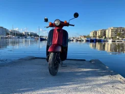 Suzuki Verde. 50����. ��., ��������, ���, � �������� ����