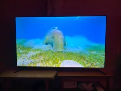 TCL. ������ ����