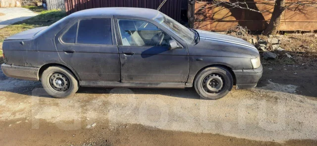 Nissan Bluebird. �������, ��������, 1.8 (130��.�.), ������, 250 000����. �� ����