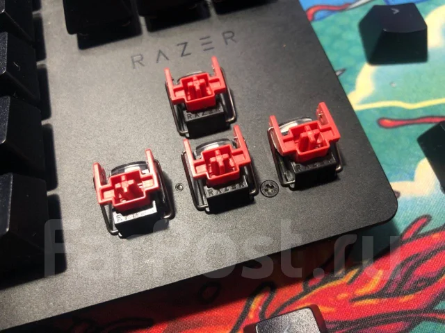 Razer ����