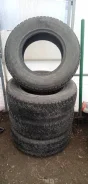 Goodyear. ������, ��� ����, 2008 ���, �/�, ����� 50 % ����