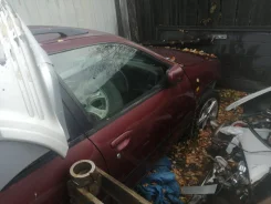 Nissan Primera Camino. QR20 ����