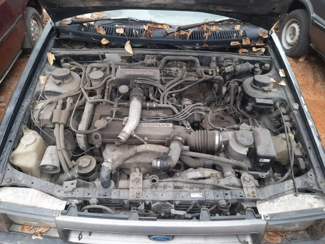 Ford Laser. BFMRF, B6 ����