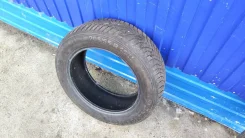 Semperit Speed-Grip 3. ������, ��� �����, 2020 ���, �/�, ����� �� 5 % ����