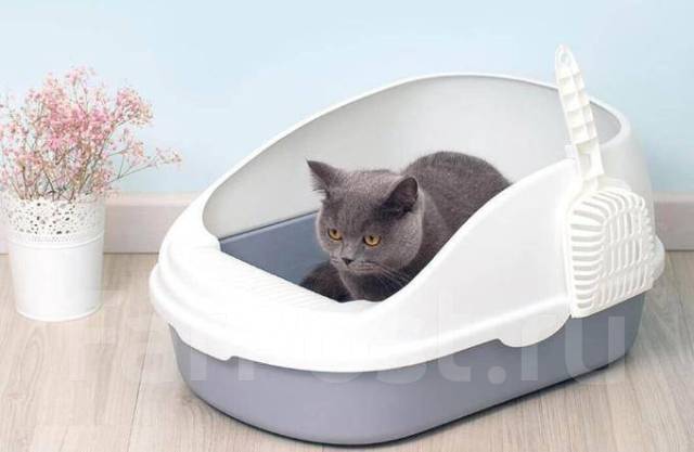 Туалет для кошек Xiaomi Semi-Open Cat Litter White - Хозтовары во ...