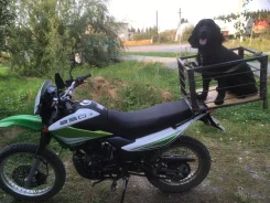Racer Panther Lite RC250GY-C2A. 250����. ��., ��������, ���, � �������� ����